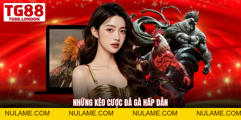 Đá Gà TG88 - Đấu Trường Nảy Lửa, Cá Cược Kịch Tính - nulame